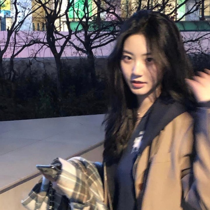 丁丁历险记第二季